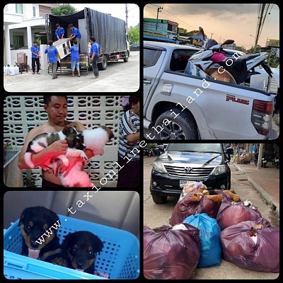 บริการส่งสัตว์เลี้ยงและย้ายบ้านส่งของ